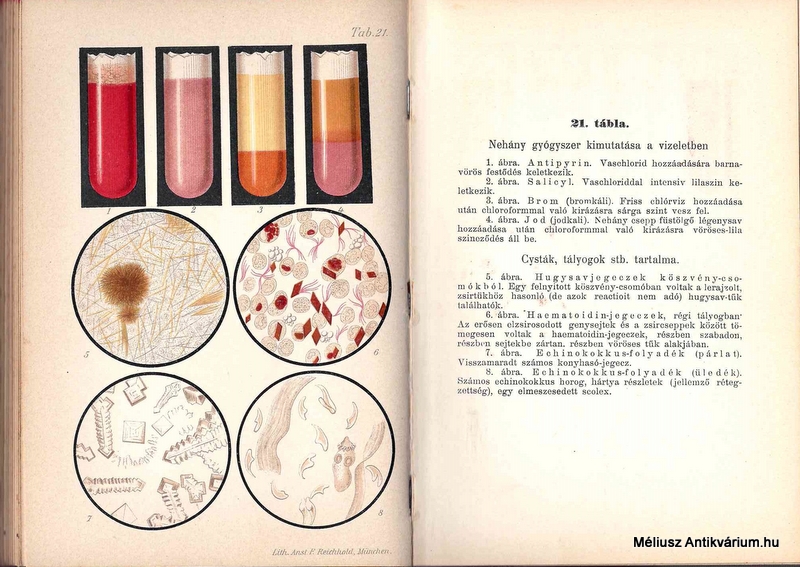 A nyelőcső papilloma - H papilloma vakcina